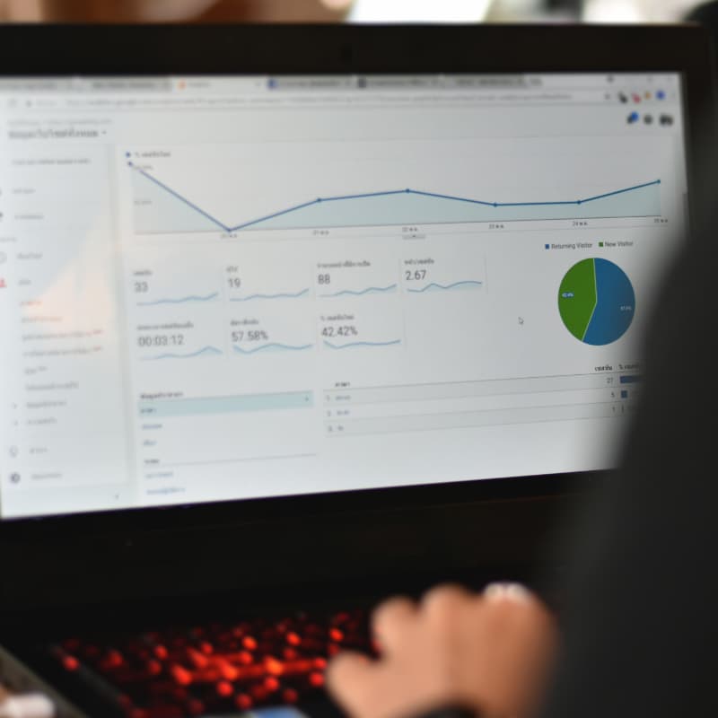 Website<br/>Reporting